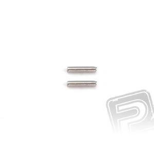 Pin 2x10 (2 ks)