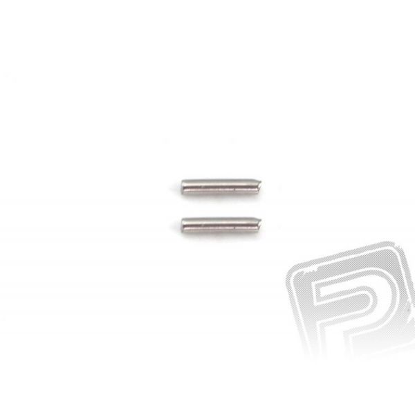 Pin 2x10 (2 ks)