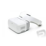DJI Goggles