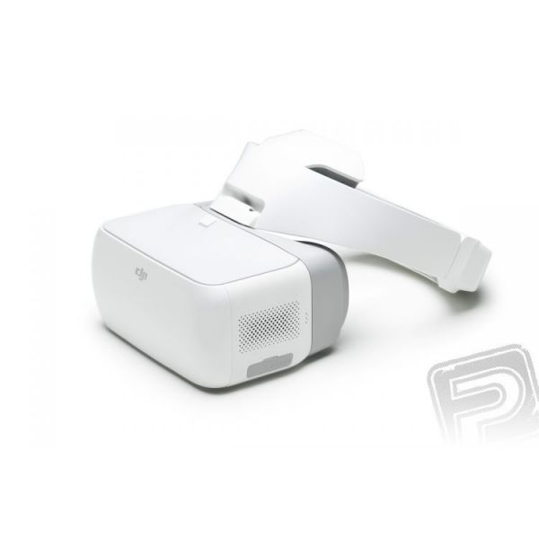 DJI Goggles