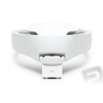 DJI Goggles