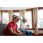 DJI Goggles