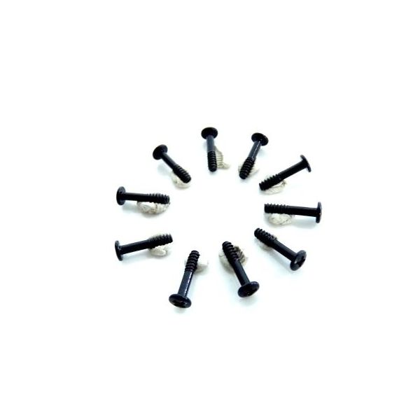 Šroub s půlkulatou hlavou 2x10 mm (10 ks)