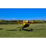 84” Turbo Bushmaster - Žlutá/Černá 2,13m