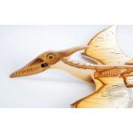 Pteranodon házedlo