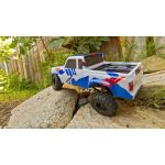 Element RC - Enduro 24 Trail Truck RTR 4WD s černo/žlutou karoserií