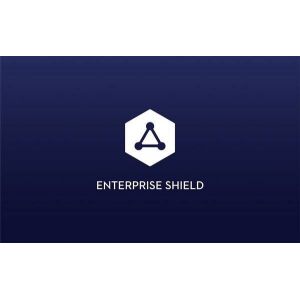 DJI Phantom 4 RTK Shield