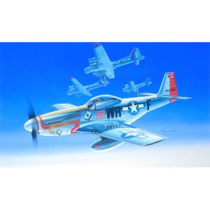 Academy North American P-51D (1:72)