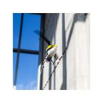 Blade 120 S2 BNF