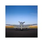 E-flite Focke-Wulf FW 190A 1.5m Smart BNF Basic