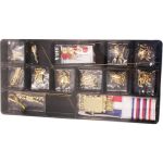 COREL Prins Willem 1651 1:100 kit