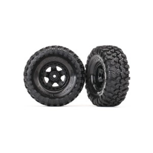 Traxxas kolo 1.9”, disk TRX-4 Sport, pneu Canyon Trail (pár)