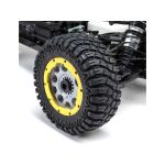 Losi DBXL 2.0 1:5 4WD RTR Icon
