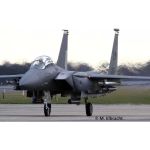 Revell McDonell F-15 E/D Strike Eagle (1:72) (sada)