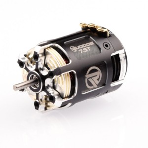 RP542 6.5T 540 Sensored Brushless/střidavý motor