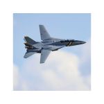 E-flite F-14 Tomcat 0.76m BNF Basic