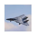 E-flite F-14 Tomcat 0.76m BNF Basic