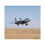 E-flite F-14 Tomcat 0.76m BNF Basic