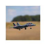 E-flite F-14 Tomcat 0.76m BNF Basic