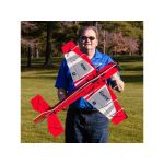 E-flite Eratix 3D 0.86m BNF Basic