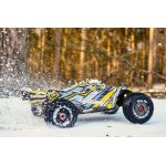 SHOGUN XP 6S - Model 2022 - 1/8 Truggy 4WD - RTR - Brushless Power 6S
