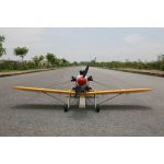 Ryan PT-22 Recruit 1/4 2,29m