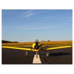 E-flite T-28 Trojan 2.0m Smart SAFE Select BNF Basic