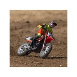 Losi Promoto-MX 1:4 RTR Basic FXR