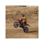 Losi Promoto-MX 1:4 RTR Basic FXR