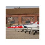 E-flite F-16 Thunderbirds 0.8m SAFE Select BNF Basic