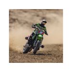 Losi Promoto-MX 1:4 RTR Pro Circuit