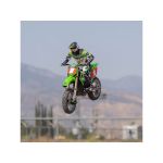 Losi Promoto-MX 1:4 RTR Pro Circuit