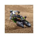 Losi Promoto-MX 1:4 RTR Pro Circuit