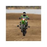 Losi Promoto-MX 1:4 RTR Pro Circuit