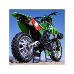 Losi Promoto-MX 1:4 RTR Pro Circuit
