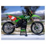 Losi Promoto-MX 1:4 RTR Pro Circuit