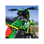 Losi Promoto-MX 1:4 RTR Pro Circuit