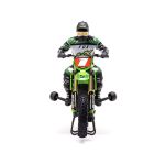 Losi Promoto-MX 1:4 RTR Pro Circuit