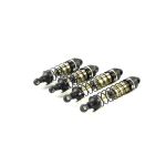 SWORKz S12-2D EVO LIMITED “Dirt Edition” 1/10 2WD Off-Road Racing Buggy PRO stavebnice
