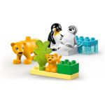 LEGO DUPLO - Rodinky divokých zvířat: Tučňáci a lvi