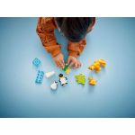 LEGO DUPLO - Rodinky divokých zvířat: Tučňáci a lvi