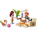 LEGO Friends - Dobrodružství se surfujícími psy a skútrem