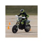 Losi Promoto-SM 1:4 RTR Basic FXR