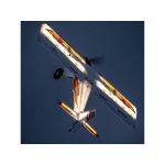 E-flite Night Timber X Evolution 1.2m AS3X+ SAFE Select BNF Basic
