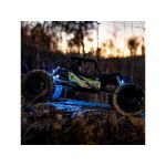 Axial AXP8 Gilamon 2.2 1:8 4WD RTR zelená