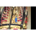 Model Shipways Syren US Briga 1803 1:64 kit
