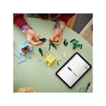LEGO Botanicals - Veselé rostlinky