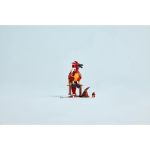 LEGO Harry Potter - Fawkes: Brumbálův fénix