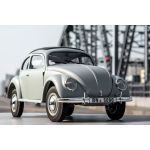 Beetle RTR šedý 1:12