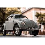 Beetle RTR šedý 1:12